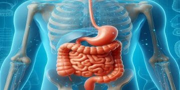 A hidroterapia do cólon faz a limpeza de mucosa intestinal